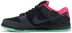 Nike Sb Dunk Low Premier Northern Lights